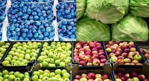 Kto zarabia na owocach i warzywach? UOKiK skontroluje marże pośredników