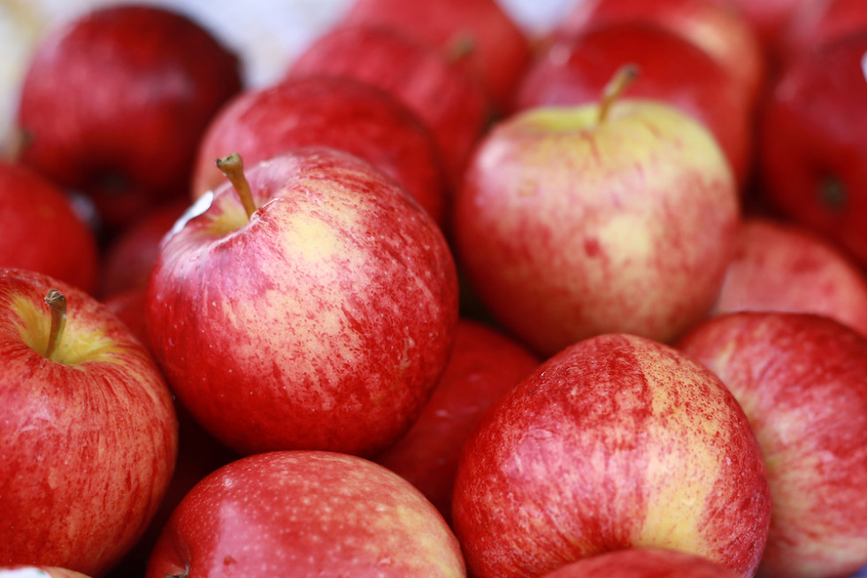 Holenderska firma po raz kolejny kupuje polskie jabłka