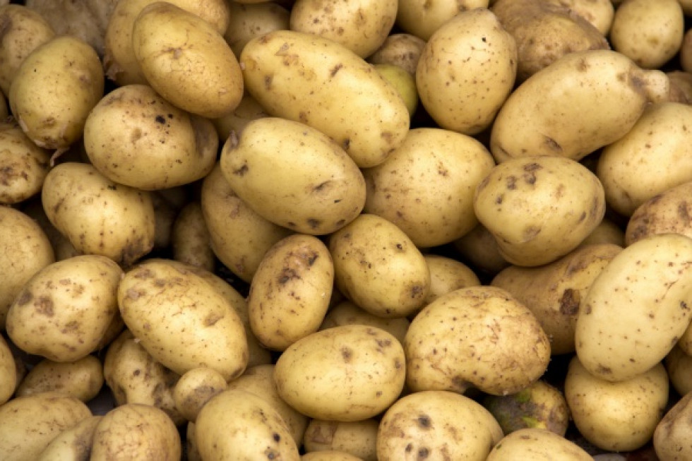 Lidl sprzedaje polskie ziemniaki w promocyjnej cenie