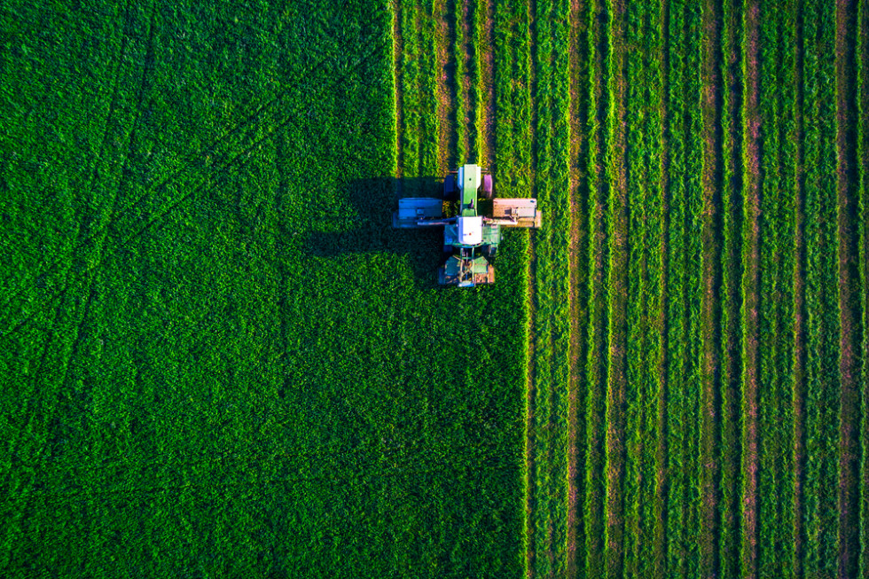 Rosja i Białoruś opracują wspólną politykę rolną