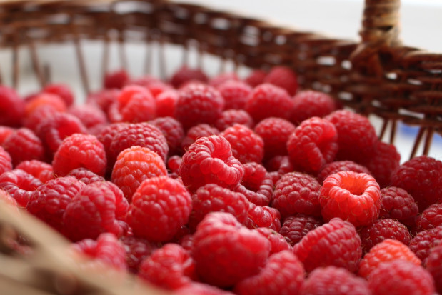 Według analizy serwisu www.sadyogrody.pl obecnie ceny malin na wybranych rynkach hurtowych wahają się między 20-32 zł/kg. / fot. pixabay Ceny malin na rynkach hurtowych wahają się między 20-32 zł/kg