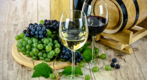 Copa i Cogeca: Spada produkcja wina w Europie
