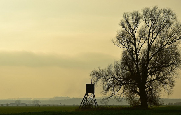 Jest zgoda na zajęcie się projektem ustawy dot. łowiectwa/ fot. pixabay Rolnicze OPZZ: zielone świato na zmianę przepisów dot. łowiectwa