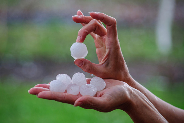 Jesienny sezon sprzedaży dotowanych ubezpieczeń rolnych właśnie się rozpoczął./ fot. shutterstock Rusza sprzedaż ubezpieczeń upraw z dopłatami z budżetu państwa