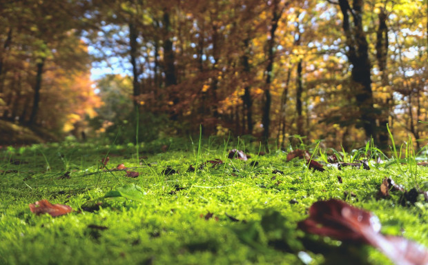 W sobotę możliwy jest przelotny deszcz / fot. pixabay IMGW: Sobota z rozpogodzeniami i temperaturą do 20-22 stopni