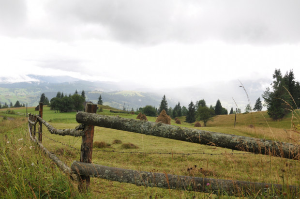 MRiRW: rolnictwo na terenach górskich powinno się opłacać/fot. shutterstock.com MRiRW: rolnictwo na terenach górskich powinno się opłacać
