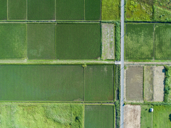Ok. 650 ha gruntów nierolnych za ponad 292 mln zł sprzedał Krajowy Ośrodek Wsparcia Rolnictwa w I półroczu tego roku. / fot. shutterstock KOWR sprzedał w I półroczu br. ok. 650 ha pod inwestycje