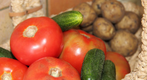 3 najpopularniejsze warzywa września: ziemniaki, pomidory, ogórki