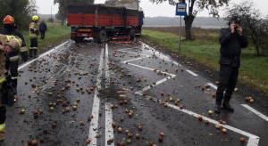 Samochód osobowy uderzył w ciężarówkę przewożącą jabłka przemysłowe