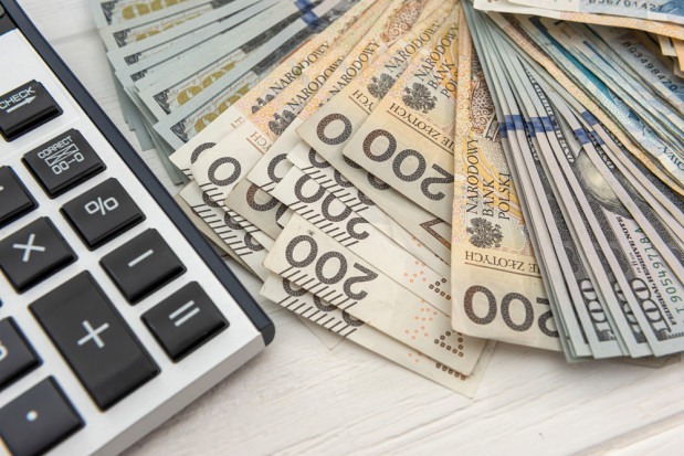 Całkowita pula środków na płatności bezpośrednie za 2021 rok to 15,63 mld złotych / fot. shutterstock Jakie stawki dopłat za poszczególne płatności?