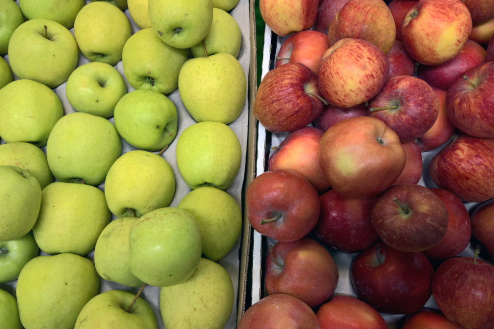 Ceny jabłek na sortowanie coraz niższe. Golden poniżej 1 zł?