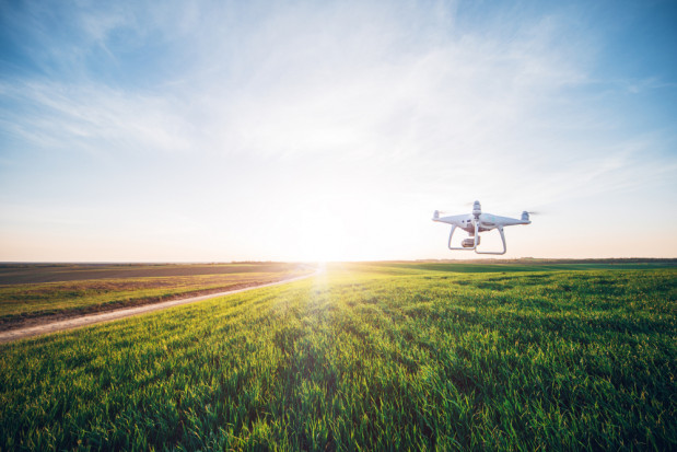 Drony mogą zrewolucjonizować rolnictwo (video)