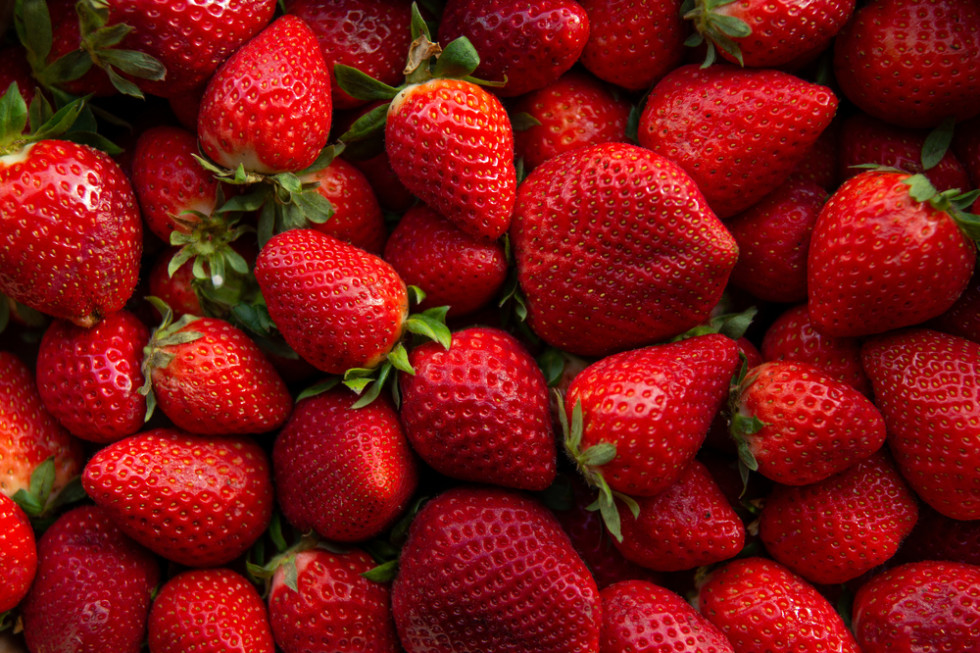 Jakie ceny truskawek odmian powtarzających owocowanie?/fot. shutterstock.com Truskawki odmian powtarzających owocowanie osiągają satysfakcjonujące ceny