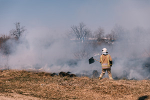Ponad 22 tys. interwencji strażaków w pożarach w lasach i na łąkach