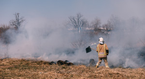 Ponad 22 tys. interwencji strażaków w pożarach w lasach i na łąkach
