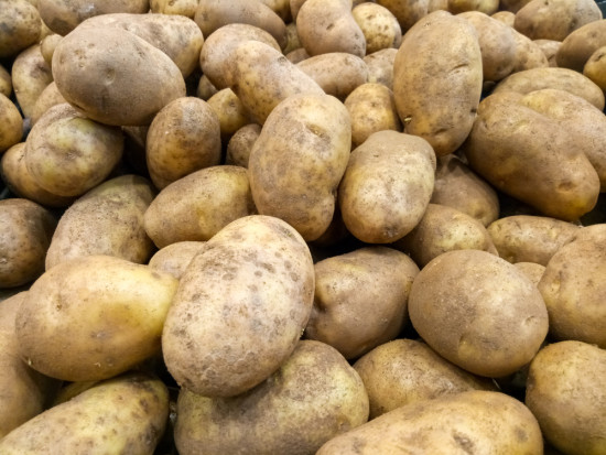 PIORiN: Zdrowotność polskich ziemniaków uległa poprawie/fot. shutterstock.com PIORiN: Zdrowotność polskich ziemniaków uległa poprawie