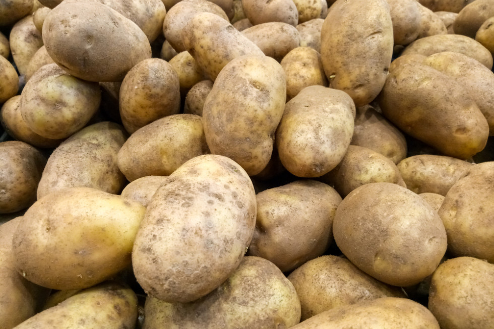 PIORiN: Zdrowotność polskich ziemniaków uległa poprawie