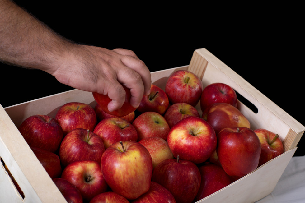 Eksporter: Coraz trudniej jest sprzedać jabłka