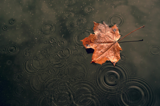 Synoptyk IGMW: we wtorek deszcz w całym kraju/fot. shutterstock.com Synoptyk IGMW: we wtorek deszcz w całym kraju