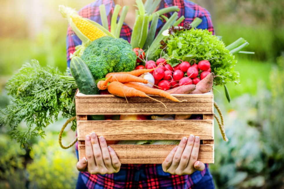Komisja rolnictwa opowiedziała się we wtorek za projektem ustawy o ułatwieniach w prowadzeniu handlu przez rolników z poprawkami. / fot. shutterstock Będą ułatwienia w prowadzeniu handlu przez rolników?