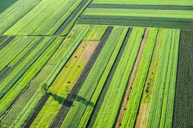 MRiRW: podpisano list intencyjny ws. wymiany danych o działkach rolnych/ fot. shutterstock.com MRiRW: podpisano list intencyjny ws. wymiany danych o działkach rolnych