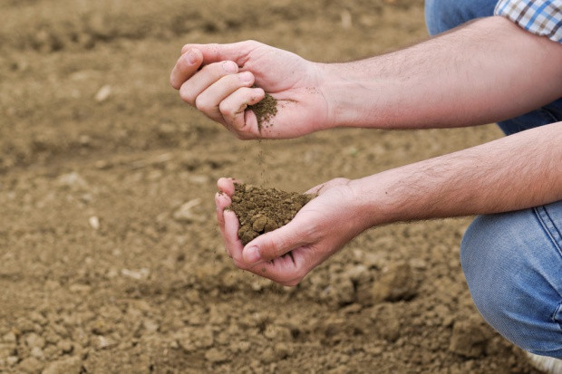 Projekt noweli o ochronie gruntów rolnych i leśnych wraca do komisji/ fot. shutterstock.com Projekt noweli o ochronie gruntów rolnych i leśnych wraca do komisji