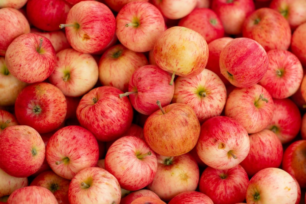 Ceny jabłek na Ukrainie o 35 proc. niższe niż rok temu