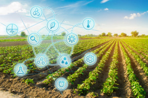 Czy rolnicy są gotowi na cyfrową rewolucję?