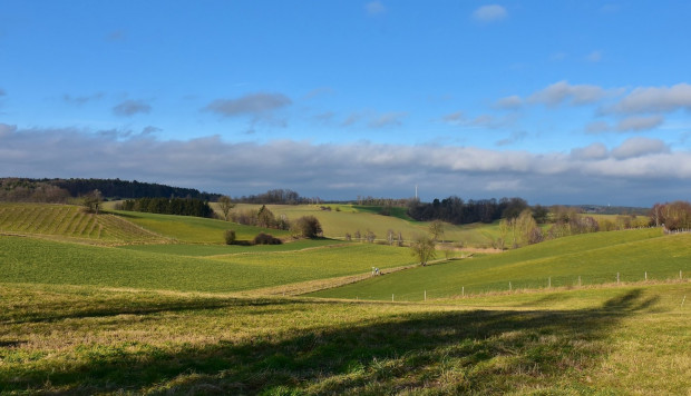 Rząd chce usprawnić proces postępowania scaleniowego i wymiany gruntów/ fot.pixabay.com Przyjęto projekt ustawy ws. przyspieszenia postępowań scaleniowych