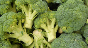 Brokuły na liście 20 najzdrowszych warzyw świata