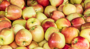 Interwencyjny skup jabłek to dobry pomysł?
