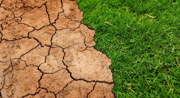 Parlament Europejski chce przyspieszenia działań na rzecz klimatu/ fot. pixabay Parlament Europejski nalega na przyspieszenie działań na rzecz klimatu