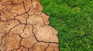Parlament Europejski nalega na przyspieszenie działań na rzecz klimatu