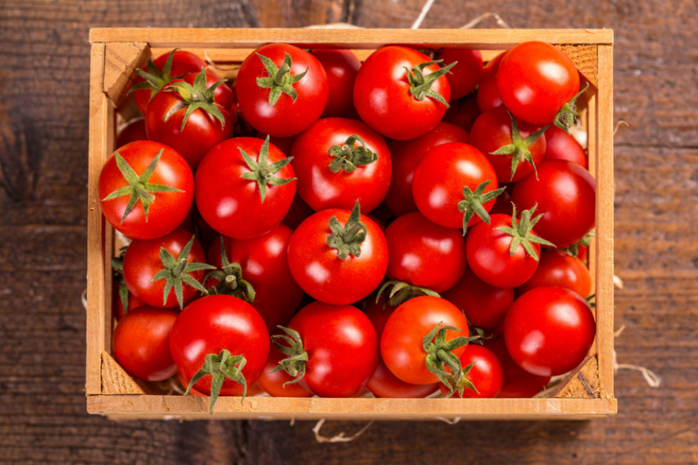 Niezależnie od kwalifikacji pewnym jest, że pomidor jest pyszny, zdrowy i daje nieskończenie wiele możliwości wykorzystania w kuchni. / fot. shutterstock Pomidor to owoc czy warzywo. Oto jest pytanie!