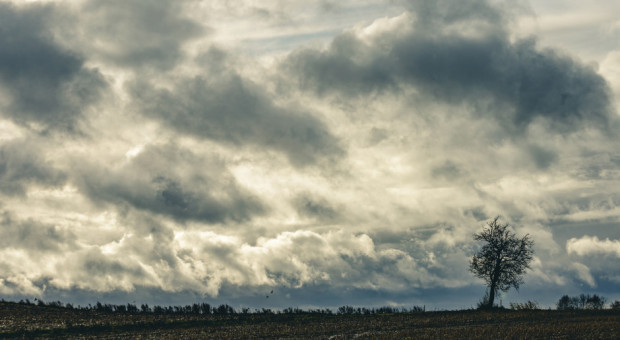 IMGW ostrzega przed silnym wiatrem/ fot. shutterstock IMGW ostrzega przed silnym wiatrem
