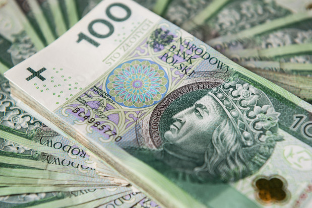 3,2 mld zł z dopłat bezpośrednich oraz płatności obszarowych PROW na kontach rolników/ fot. shutterstock Dopłaty ARiMR: 3,2 mld zł na kontach rolników