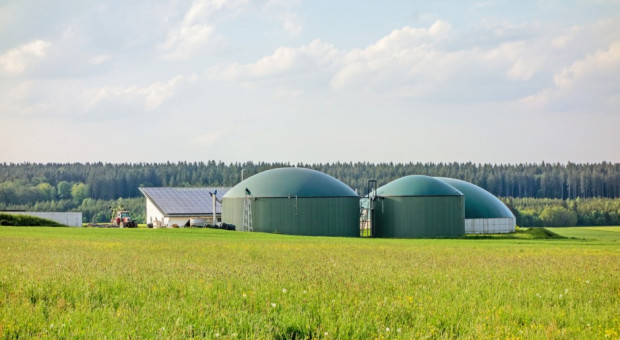 Raport: Można zmniejszyć emisję gazów cieplarnianych w rolnictwie /fot. shutterstock Jak zmniejszyć emisję gazów cieplarnianych w rolnictwie?