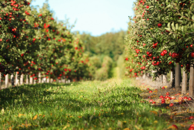 Po rześkim poranku, do wieczora poniedziałek będzie na ogół pogodny, z temperaturami od 9 do 14 stopni Celsjusza / fot. shutterstock Poniedziałek pogodny. Temperatura od 9 do 14 stopni C.