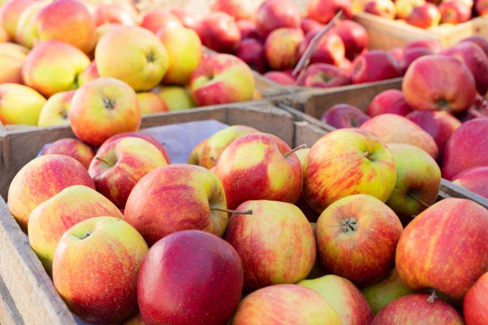 Jabłka 2021: Jakie ceny na początku tygodnia w hurcie?