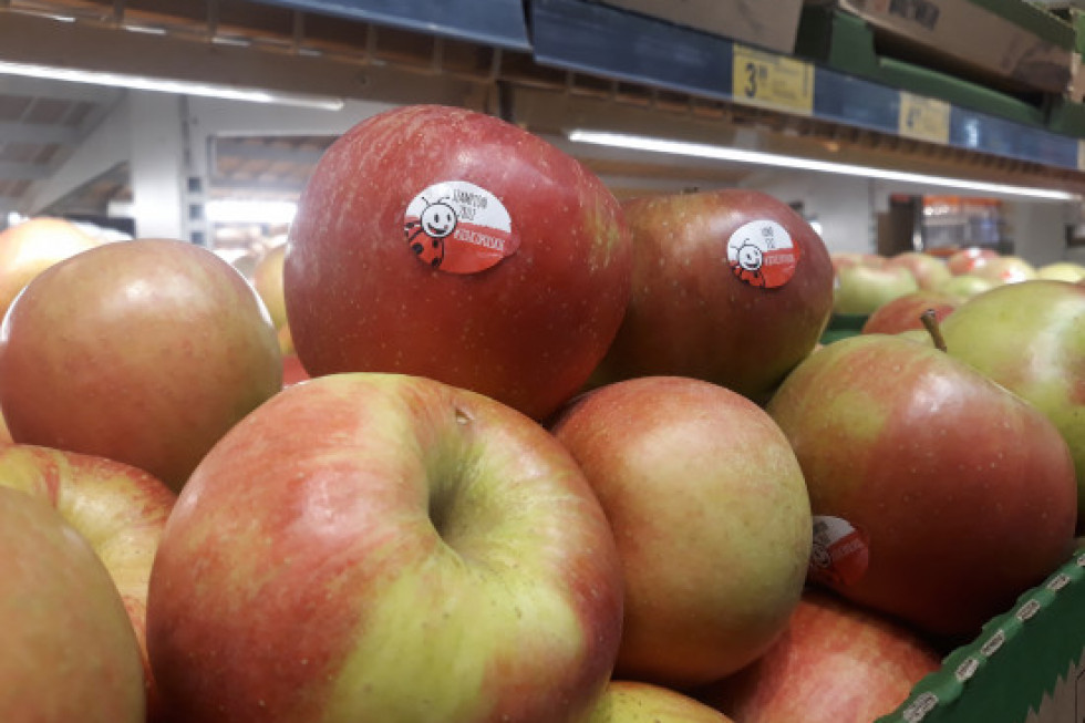 Biedronka: skandalicznie niskie ceny polskich jabłek - mniej niż 1,5 zł/kg!