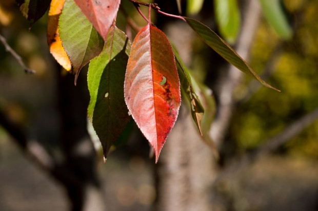 Środa z temperaturą do 15 stopni/ fot. shutterstock IMGW: środa z temperaturą do 15 stopni