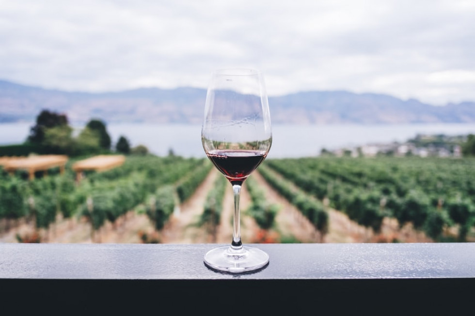 Prace nad projektem ustawy o wyrobach winiarskich odłożone do listopada