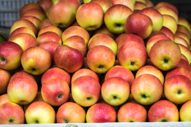 To będzie trudny sezon dla producentów jabłek z Serbii/fot. shutterstock.com To będzie trudny sezon dla producentów jabłek z Serbii