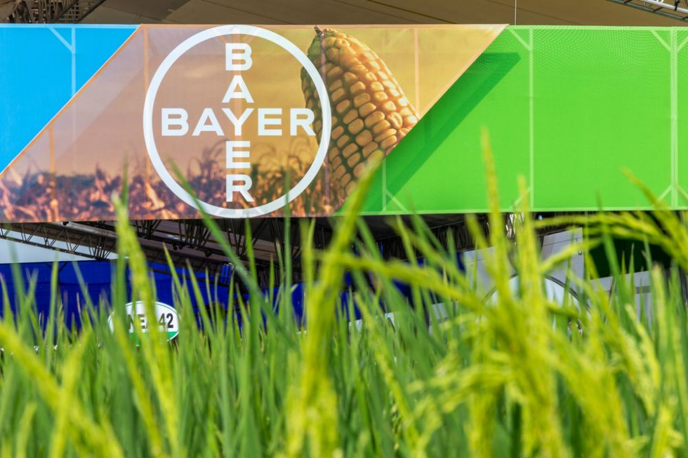 Bayer inwestuje w sektor nasion warzyw