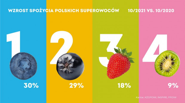 Konsumenci coraz częściej spożywają borówki, aronie, truskawki i minikiwi/ fot. materiały prasowe Konsumenci coraz częściej spożywają borówki, aronie, truskawki i minikiwi