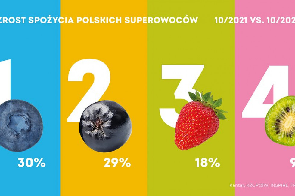 Konsumenci coraz częściej spożywają borówki, aronie, truskawki i minikiwi/ fot. materiały prasowe Konsumenci coraz częściej spożywają borówki, aronie, truskawki i minikiwi