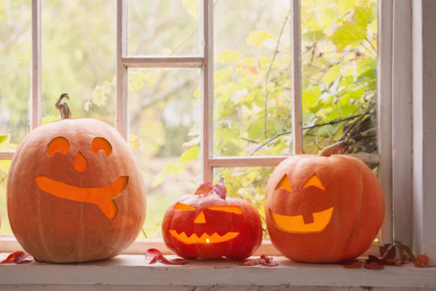 Każdego roku tuż po Halloween w Stanach Zjednoczonych tysiące ton dyń trafiają na wysypiska śmieci / fot. shutterstock USA: W Halloween marnują się miliony dyń