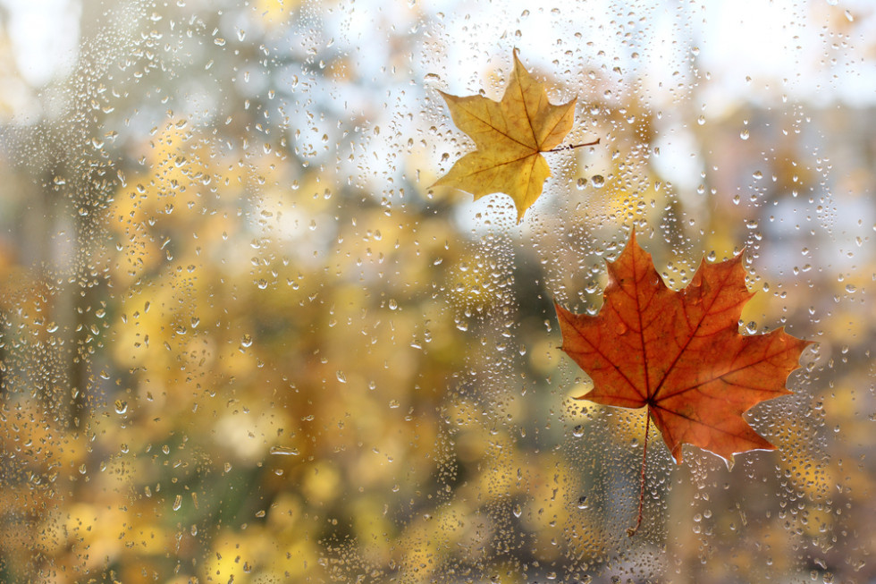 We wtorek deszcz; temperatura maks. od 9 do 13 st. C./ fot. shutterstock.com We wtorek deszcz; temperatura od 9 do 13 st. C.