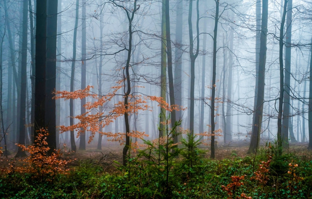 W środę deszcz jest spodziewany na wschodzie kraju. / fot. shutterstock Środa z jesienną aurą. Temp. maksymalna od 8 do 13 st. C
