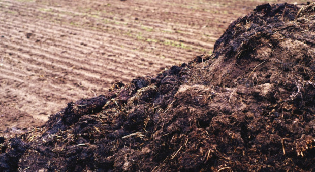 W jakich sytuacjach możliwe jest stosowanie nawozów naturalnych do 30 listopada?/ fot. shutterstock MRiRW: Stosowanie nawozów naturalnych możliwe do 30 listopada